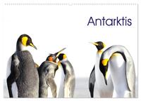 Vorderes Coverbild Antarktis - viaje.ch (Wandkalender 2026 DIN A2 quer), CALVENDO Monatskalender