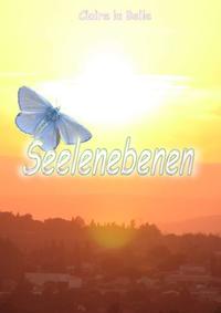 Vorderes Coverbild Seelenebenen