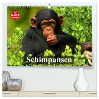 Vorderes Coverbild Schimpansen (hochwertiger Premium Wandkalender 2026 DIN A2 quer), Kunstdruck in Hochglanz