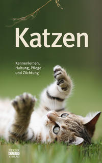 Vorderes Coverbild Katzen