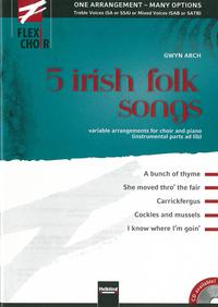 Vorderes Coverbild FLEXI-CHOIR, 5 irish folk songs