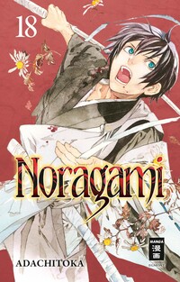 Vorderes Coverbild Noragami 18