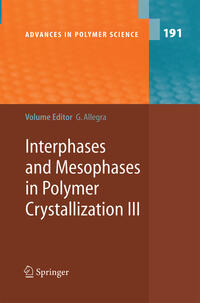 Vorderes Coverbild Interphases and Mesophases in Polymer Crystallization III