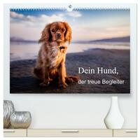 Vorderes Coverbild Dein Hund der treue Begleiter (hochwertiger Premium Wandkalender 2025 DIN A2 quer), Kunstdruck in Hochglanz