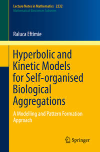 Vorderes Coverbild Hyperbolic and Kinetic Models for Self-organised Biological Aggregations