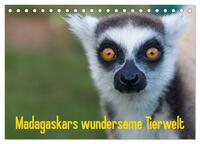 Vorderes Coverbild Madagaskars wundersame Tierwelt (Tischkalender 2026 DIN A5 quer), CALVENDO Monatskalender