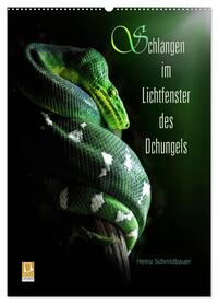 Vorderes Coverbild Schlangen im Lichtfenster des Dschungels (Wandkalender 2026 DIN A2 hoch), CALVENDO Monatskalender
