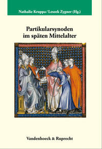 Vorderes Coverbild Partikularsynoden im späten Mittelalter