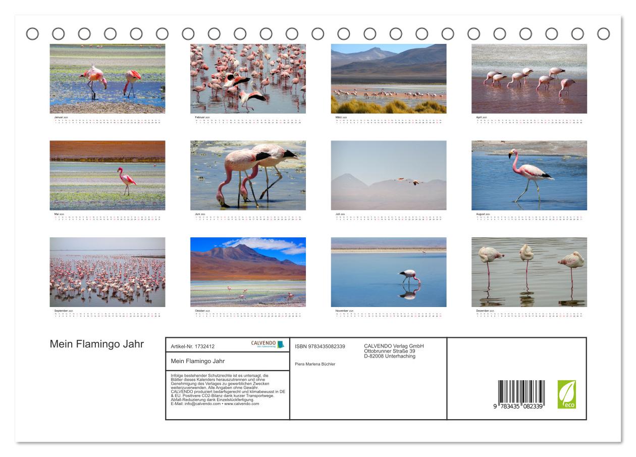 Beispielinhalt (Bild) Mein Flamingo Jahr (Tischkalender 2025 DIN A5 quer), CALVENDO Monatskalender
