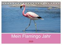 Vorderes Coverbild Mein Flamingo Jahr (Tischkalender 2025 DIN A5 quer), CALVENDO Monatskalender
