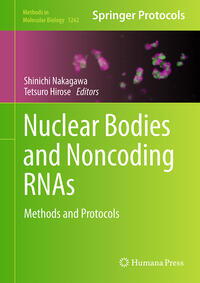 Vorderes Coverbild Nuclear Bodies and Noncoding RNAs