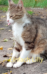Vorderes Coverbild Einfach Lilly