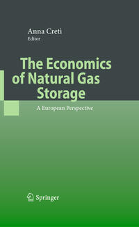 Vorderes Coverbild The Economics of Natural Gas Storage