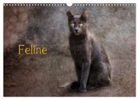 Vorderes Coverbild Feline (Wandkalender 2025 DIN A3 quer), CALVENDO Monatskalender