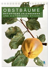 Vorderes Coverbild Obstbäume: Botanische Zeichnungen und historische Stiche (Tischkalender 2025 DIN A5 hoch), CALVENDO Monatskalender