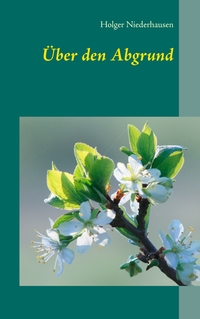 Vorderes Coverbild Über den Abgrund