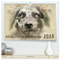 Vorderes Coverbild Altdeutsche Hütehunde 2025 (hochwertiger Premium Wandkalender 2025 DIN A2 quer), Kunstdruck in Hochglanz
