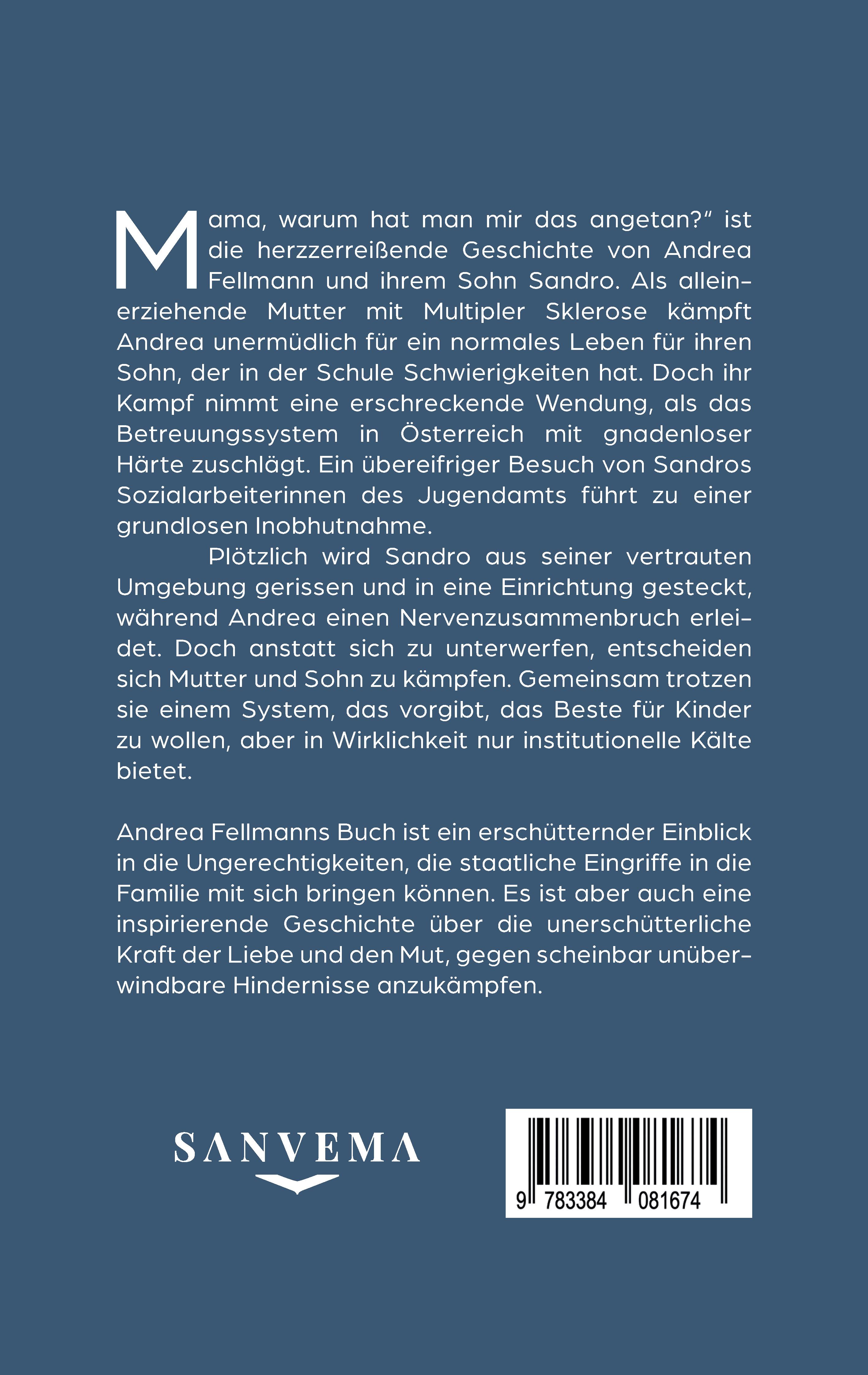 Rückseitencover Die Inobhutnahme