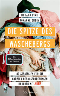 Vorderes Coverbild Die Spitze des Wäschebergs