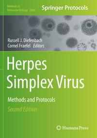 Vorderes Coverbild Herpes Simplex Virus
