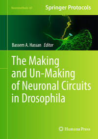 Vorderes Coverbild The Making and Un-Making of Neuronal Circuits in Drosophila