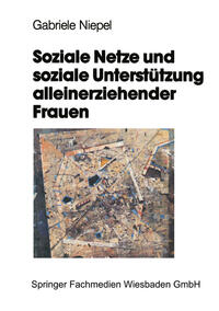 Vorderes Coverbild Soziale Netze und soziale Unterstützung alleinerziehender Frauen