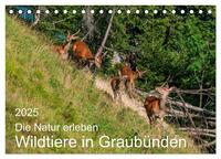 Vorderes Coverbild Die Natur erleben - Wildtiere in Graubünden (Tischkalender 2025 DIN A5 quer), CALVENDO Monatskalender