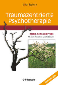 Vorderes Coverbild Traumazentrierte Psychotherapie