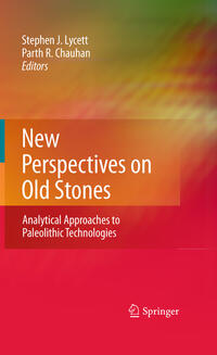 Vorderes Coverbild New Perspectives on Old Stones