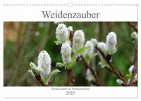 Vorderes Coverbild Weidenzauber (Wandkalender 2025 DIN A3 quer), CALVENDO Monatskalender