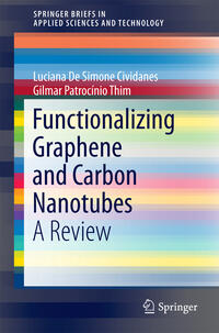 Vorderes Coverbild Functionalizing Graphene and Carbon Nanotubes