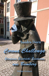 Vorderes Coverbild Corona Challenge