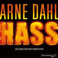 Vorderes Coverbild Hass (Opcop-Gruppe 4)