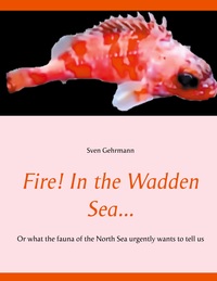 Vorderes Coverbild Fire! In the Wadden Sea...