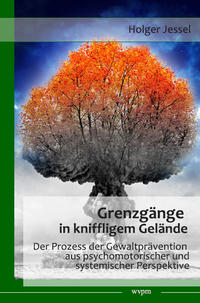 Vorderes Coverbild Grenzgänge in kniffligem Gelände