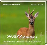 Vorderes Coverbild Blattsommer