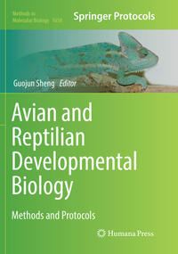 Vorderes Coverbild Avian and Reptilian Developmental Biology