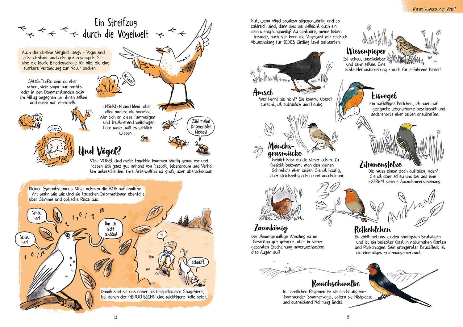Beispielinhalt (Bild) Birding für Ahnungslose
