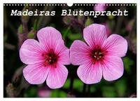 Vorderes Coverbild Madeiras Blütenpracht (Wandkalender 2025 DIN A3 quer), CALVENDO Monatskalender
