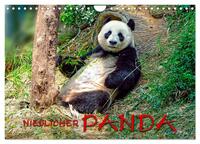 Vorderes Coverbild Niedlicher Panda (Wandkalender 2025 DIN A4 quer), CALVENDO Monatskalender