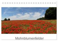 Vorderes Coverbild Mohnblumenfelder (Tischkalender 2025 DIN A5 quer), CALVENDO Monatskalender