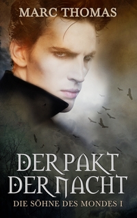 Vorderes Coverbild Der Pakt der Nacht