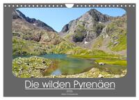 Vorderes Coverbild Die wilden Pyrenäen (Wandkalender 2026 DIN A4 quer), CALVENDO Monatskalender