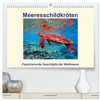 Vorderes Coverbild Meeresschildkröten – Faszinierende Geschöpfe der Weltmeere (hochwertiger Premium Wandkalender 2025 DIN A2 quer), Kunstdruck in Hochglanz