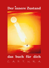 Vorderes Coverbild Der innere Zustand
