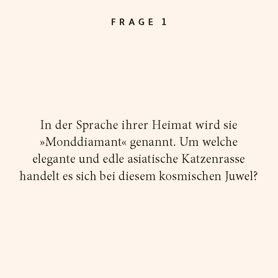 Beispielinhalt (Bild) Katzen-Quiz