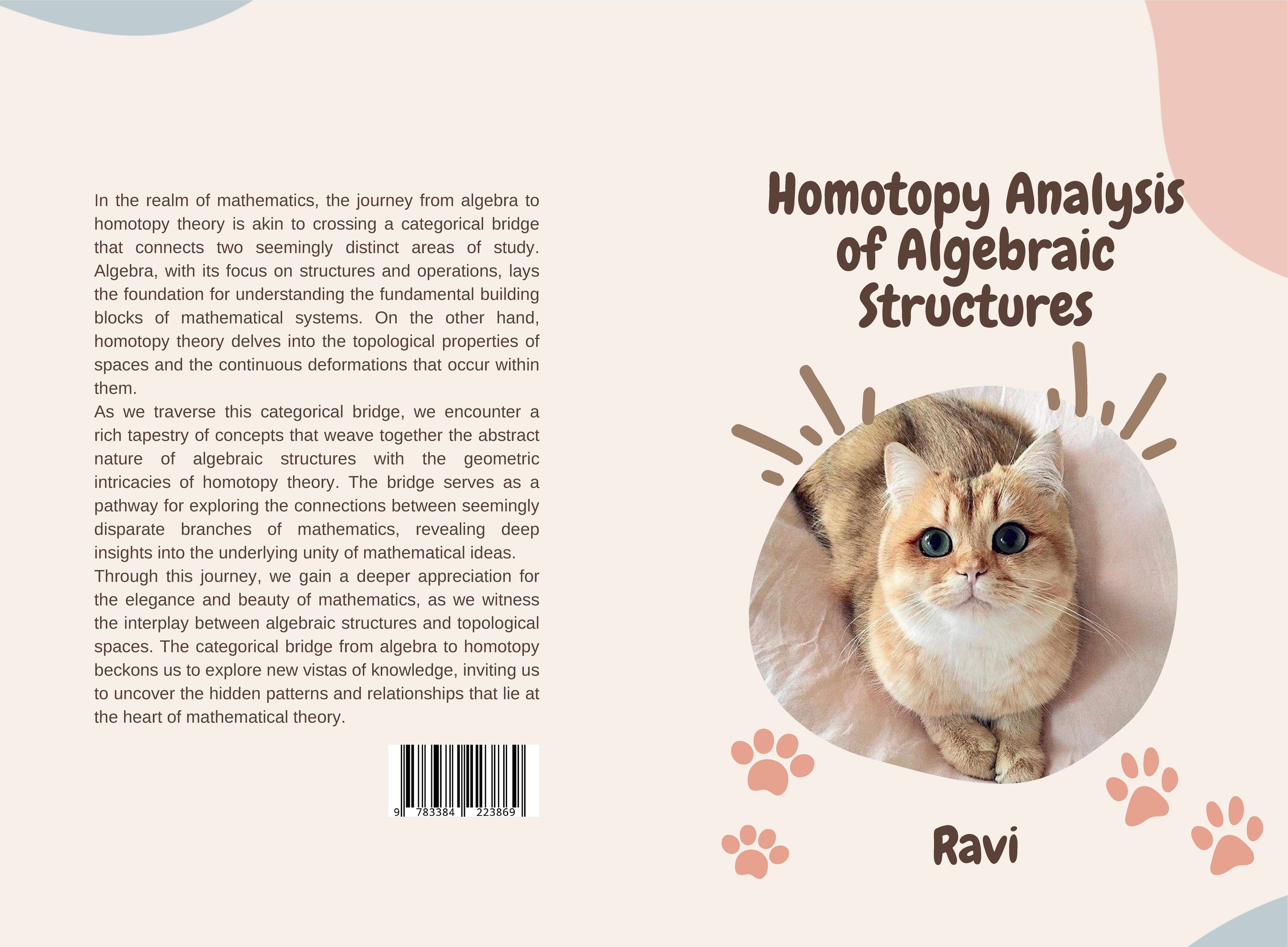 Gesamtes Coverbild Homotopy Analysis of Algebraic Structures