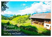 Vorderes Coverbild Tiroler Bauernhöfe Mal urig, mal feudal (Wandkalender 2026 DIN A2 quer), CALVENDO Monatskalender