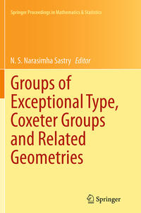 Vorderes Coverbild Groups of Exceptional Type, Coxeter Groups and Related Geometries