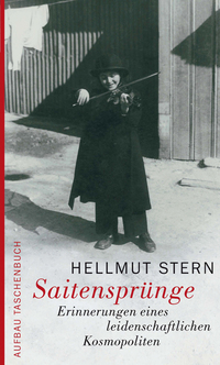 Vorderes Coverbild Saitensprünge
